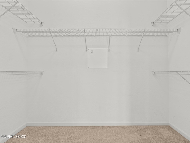 1835 Trail Creek Way, Reno, NV 89523 - walk in closet with carpet flooring