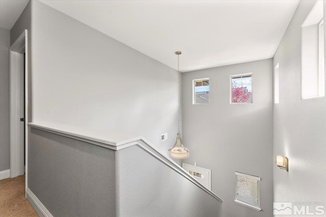 1366 Campagni Ln, Carson City, NV 89706 - photo 6
