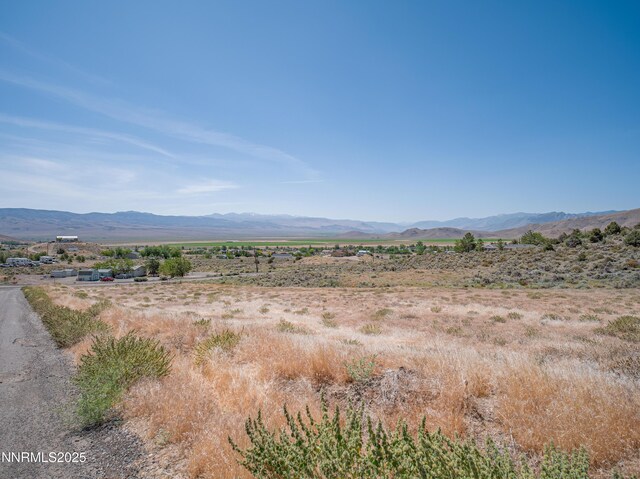 3955 Mica Ct, Topaz Ranch Estates, NV 89444 - photo 2