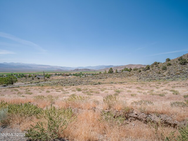 3955 Mica Ct, Topaz Ranch Estates, NV 89444 - photo 3