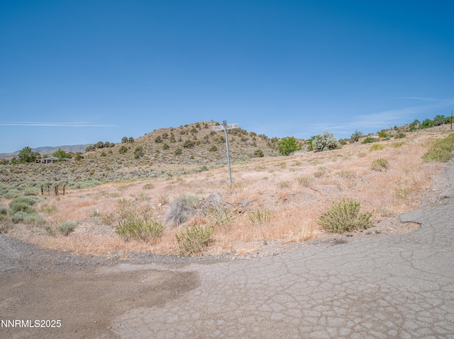 3955 Mica Ct, Topaz Ranch Estates, NV 89444 - photo 4
