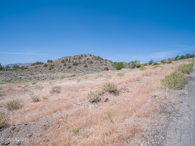 3955 Mica Ct, Topaz Ranch Estates, NV 89444 - photo 8