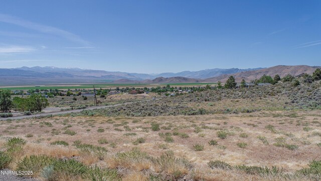 3955 Mica Ct, Topaz Ranch Estates, NV 89444 - photo 9