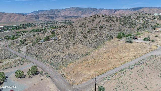 3955 Mica Ct, Topaz Ranch Estates, NV 89444 - photo 10