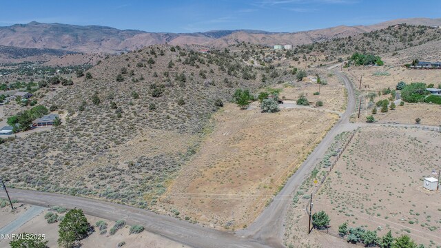 3955 Mica Ct, Topaz Ranch Estates, NV 89444 - photo 11