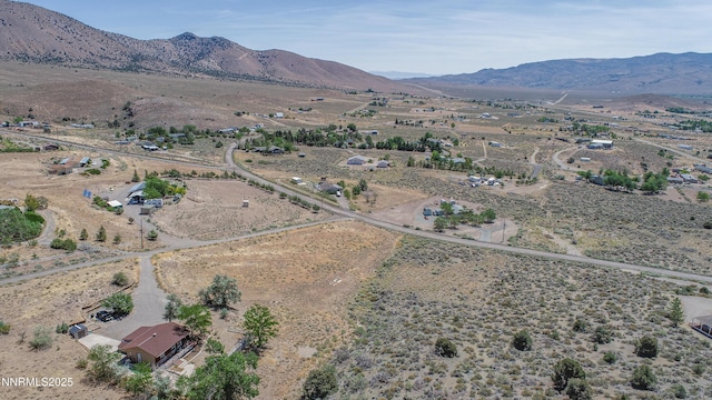 3955 Mica Ct, Topaz Ranch Estates, NV 89444 - photo 17