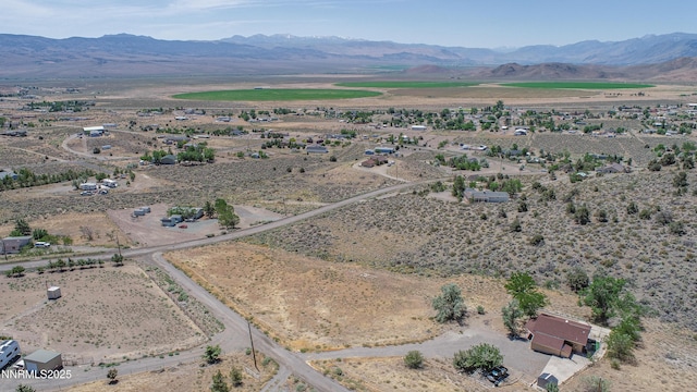 3955 Mica Ct, Topaz Ranch Estates, NV 89444 - photo 19