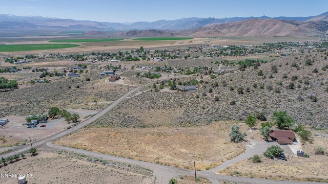 3955 Mica Ct, Topaz Ranch Estates, NV 89444 - photo 20