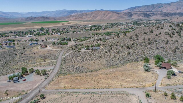 3955 Mica Ct, Topaz Ranch Estates, NV 89444 - photo 21