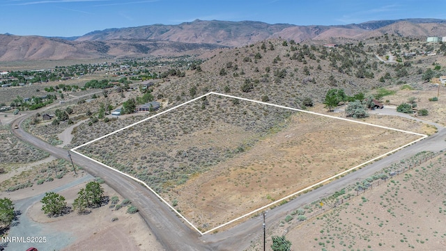 3955 Mica Ct, Topaz Ranch Estates, NV 89444 - photo 25