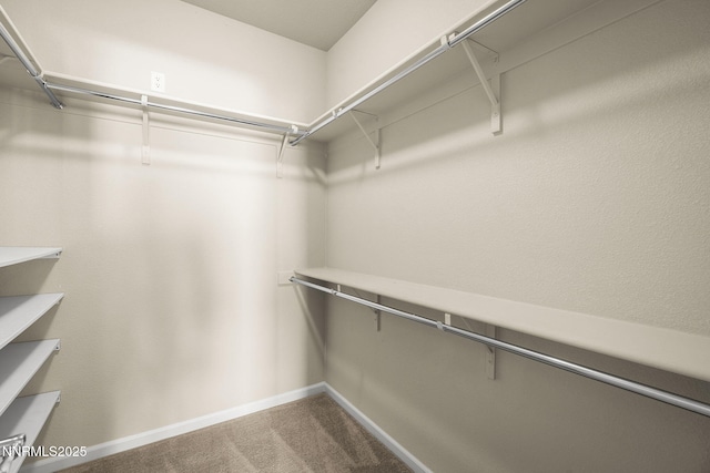 1245 W Del Webb Pkwy, Reno, NV 89523 - spacious closet featuring carpet floors