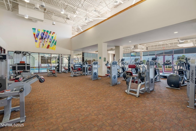 1245 W Del Webb Pkwy, Reno, NV 89523 - exercise room with a towering ceiling and carpet floors