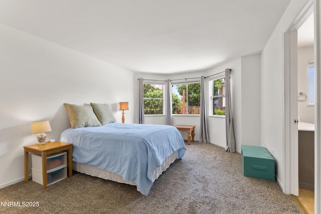696 Armory Ln, Carson City, NV 89701 - photo 23