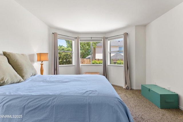 696 Armory Ln, Carson City, NV 89701 - photo 25