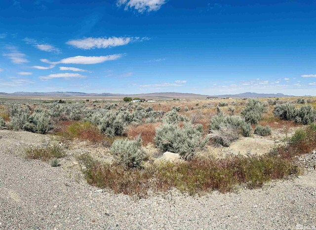 12585 Hawthorne Ct, Lovelock, NV 89419 - photo 4