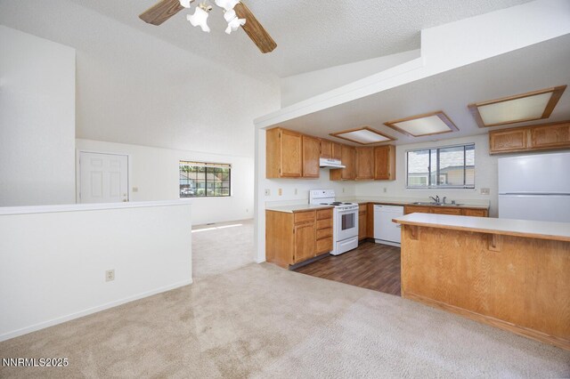 541 Michael Dr, Fallon, NV 89406 - photo 5