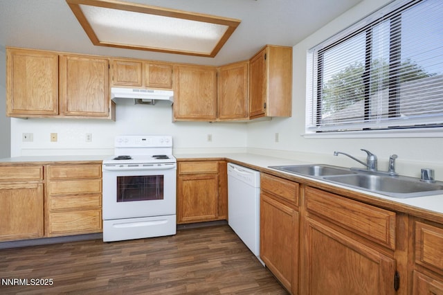 541 Michael Dr, Fallon, NV 89406 - photo 7