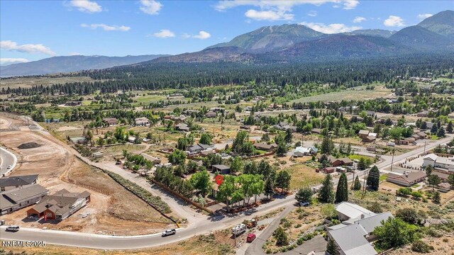 5220 Shawna Ln, Reno, NV 89511 - photo 59