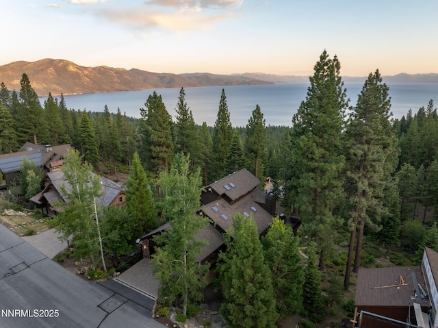 587 Fallen Leaf Way, Incline Village, NV 89451 - photo 55