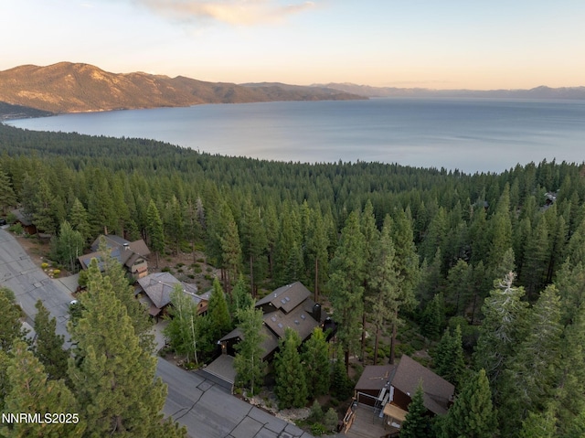 587 Fallen Leaf Way, Incline Village, NV 89451 - photo 56