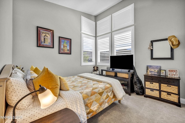 2109 Cast Iron Dr, Reno, NV 89521 - bedroom featuring carpet flooring