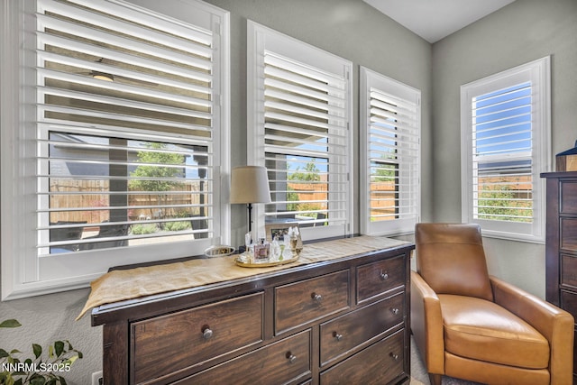 2109 Cast Iron Dr, Reno, NV 89521 - living area with plenty of natural light