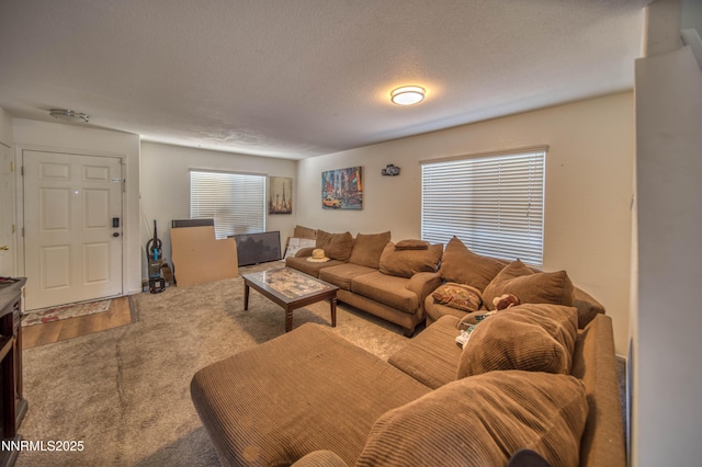 9698 Canyon Meadows Dr, Reno, NV 89506 - living room with carpet floors and a textured ceiling