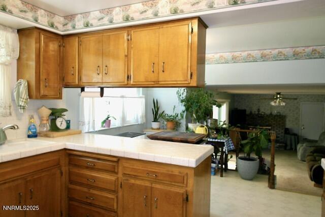 110 Drew Dr, Reno, NV 89511 - photo 7