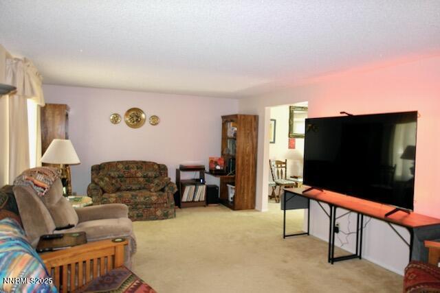 110 Drew Dr, Reno, NV 89511 - photo 12