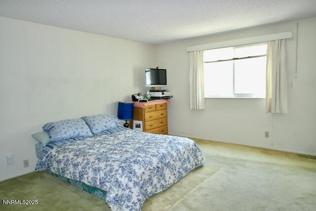 110 Drew Dr, Reno, NV 89511 - photo 13