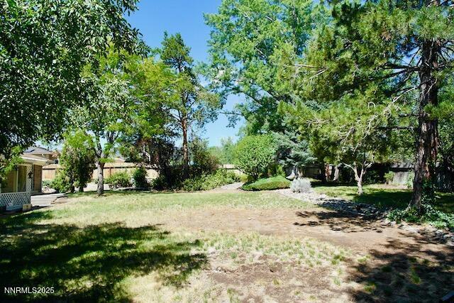 110 Drew Dr, Reno, NV 89511 - photo 23