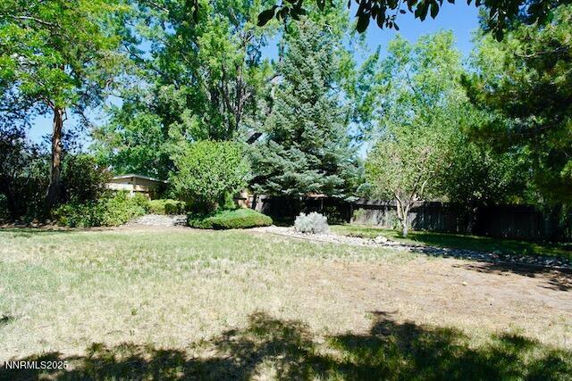 110 Drew Dr, Reno, NV 89511 - photo 24