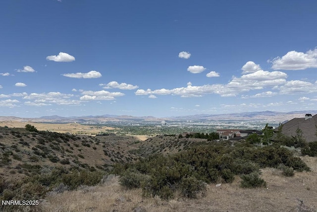 607 Rose Peak Ct, Reno, NV 89511 - photo 15
