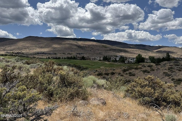 607 Rose Peak Ct, Reno, NV 89511 - photo 10