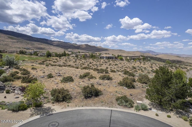 607 Rose Peak Ct, Reno, NV 89511 - photo 28