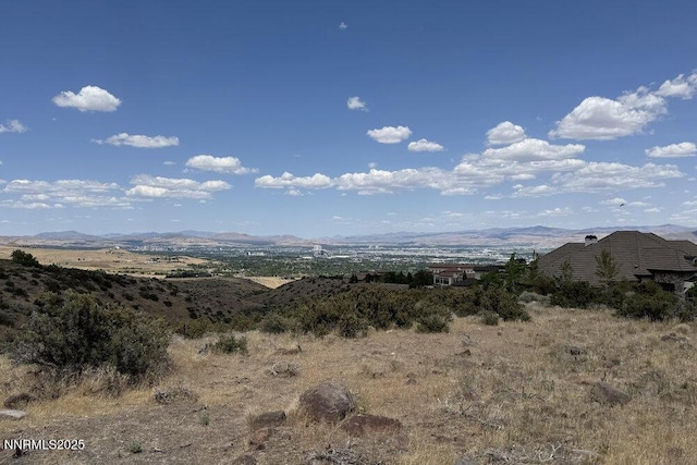 607 Rose Peak Ct, Reno, NV 89511 - photo 31