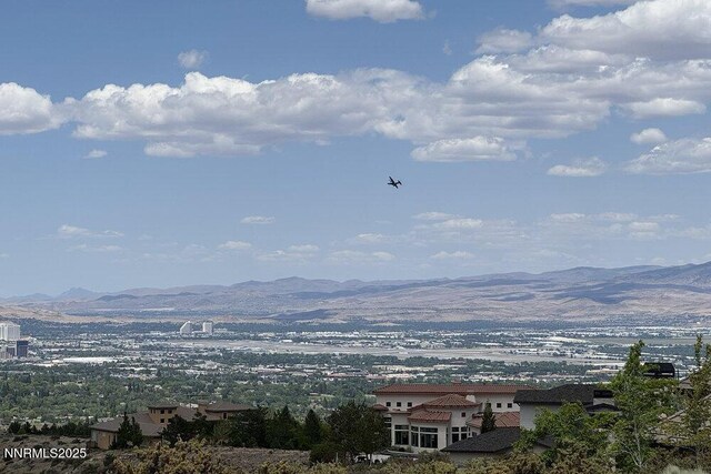 607 Rose Peak Ct, Reno, NV 89511 - photo 20