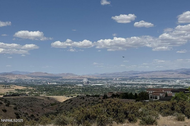607 Rose Peak Ct, Reno, NV 89511 - photo 27