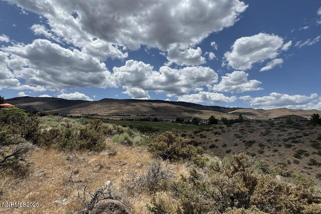 607 Rose Peak Ct, Reno, NV 89511 - photo 29