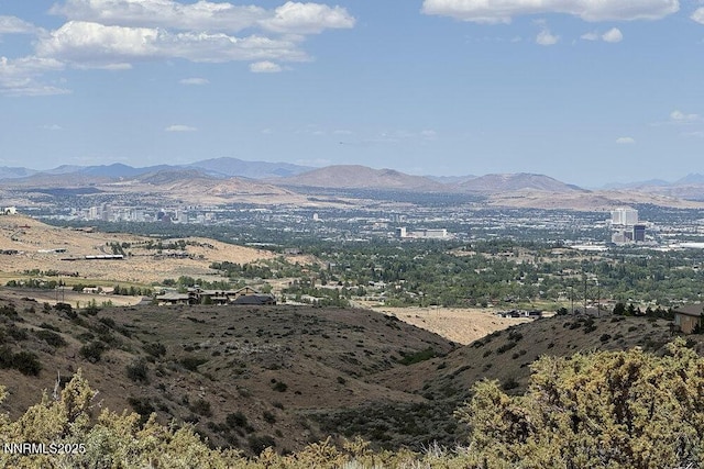 607 Rose Peak Ct, Reno, NV 89511 - photo 4