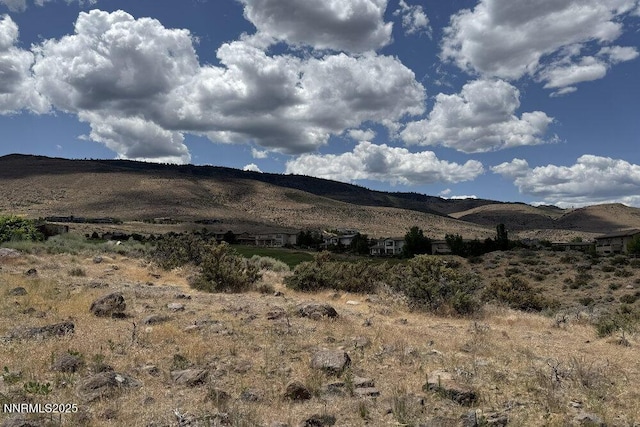 607 Rose Peak Ct, Reno, NV 89511 - photo 34