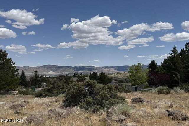 607 Rose Peak Ct, Reno, NV 89511 - photo 32