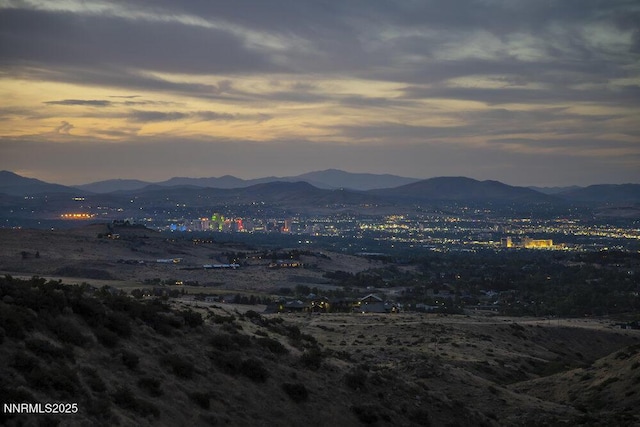 607 Rose Peak Ct, Reno, NV 89511 - photo 33