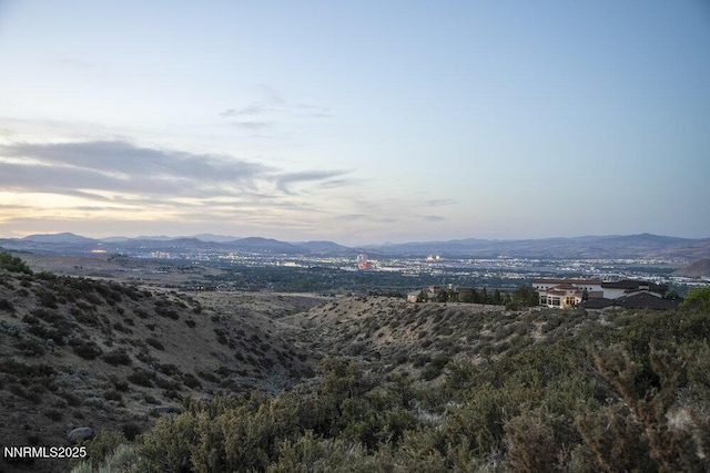 607 Rose Peak Ct, Reno, NV 89511 - photo 35