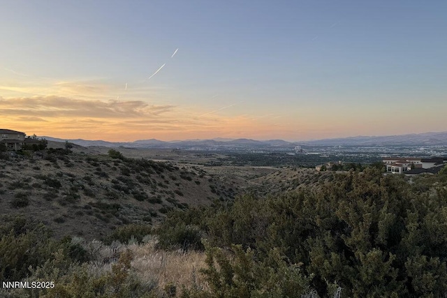 607 Rose Peak Ct, Reno, NV 89511 - photo 17