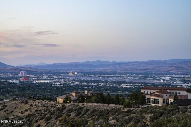 607 Rose Peak Ct, Reno, NV 89511 - photo 19