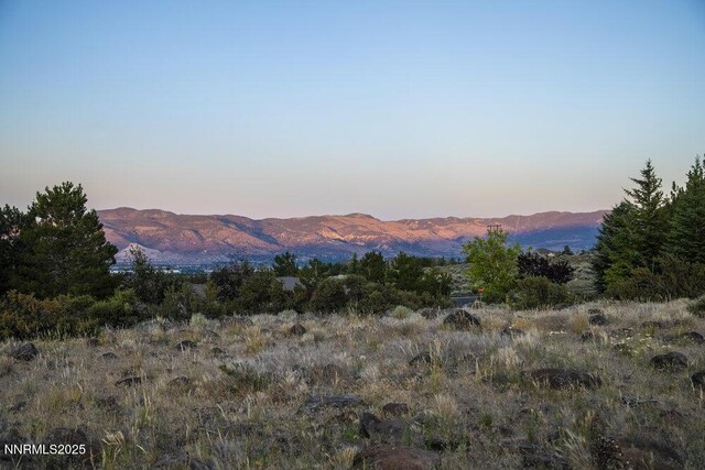607 Rose Peak Ct, Reno, NV 89511 - photo 3