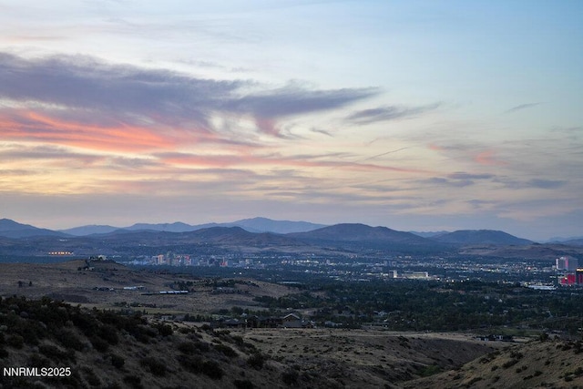 607 Rose Peak Ct, Reno, NV 89511 - photo 1