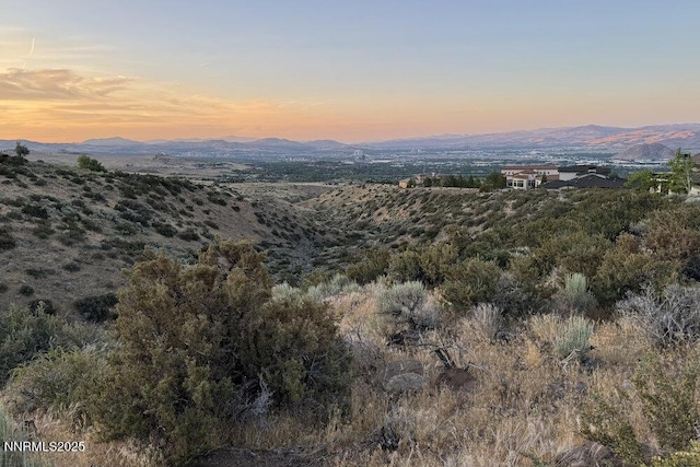 607 Rose Peak Ct, Reno, NV 89511 - photo 18