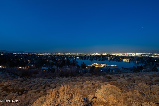 2919 Mountain Springs Rd, Reno, NV 89519 - photo 1